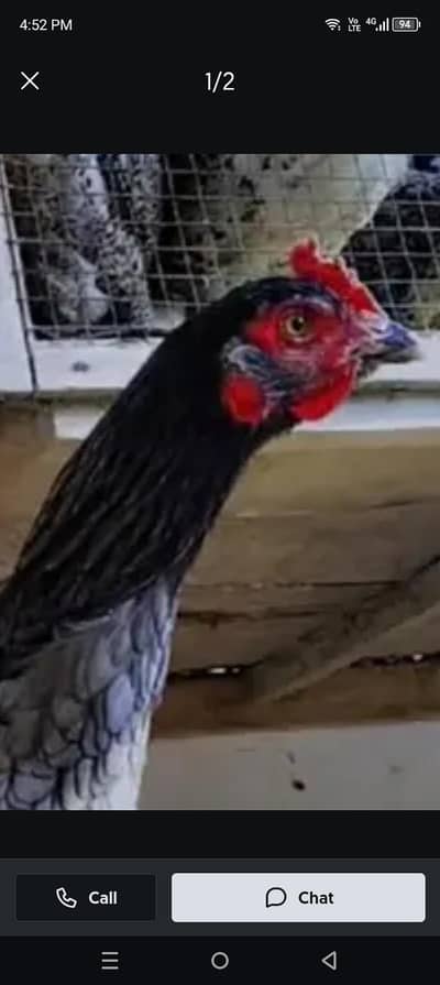 saleti bangam pathi sale and exchange