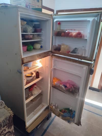 PEL Fridge