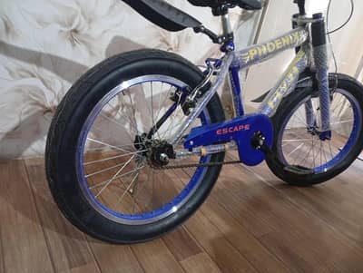 Cycle New Moty  tires