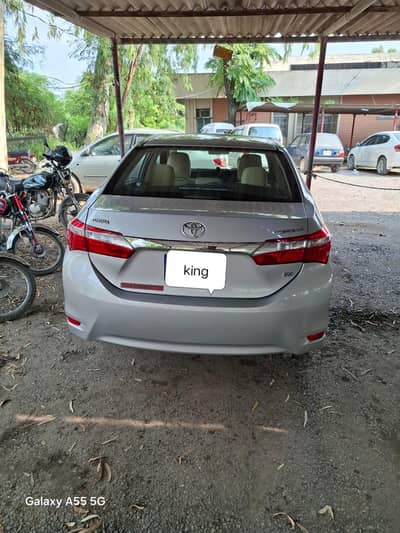 total jean bumper 2 bumper shrooms contdation