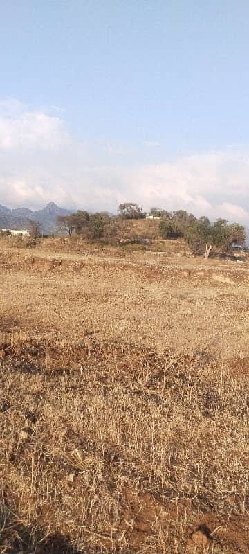 5marla Ideal Location Plot 4