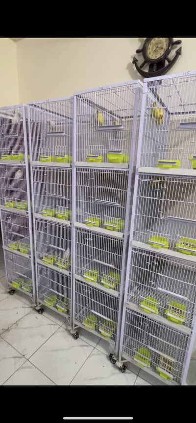 4 portion cages available for sell