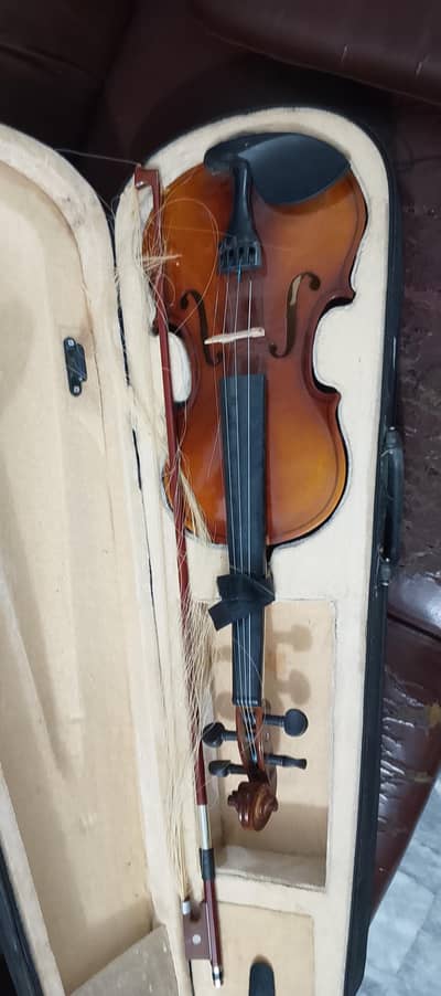 Orignal Voilin - 8/10 - Professional He