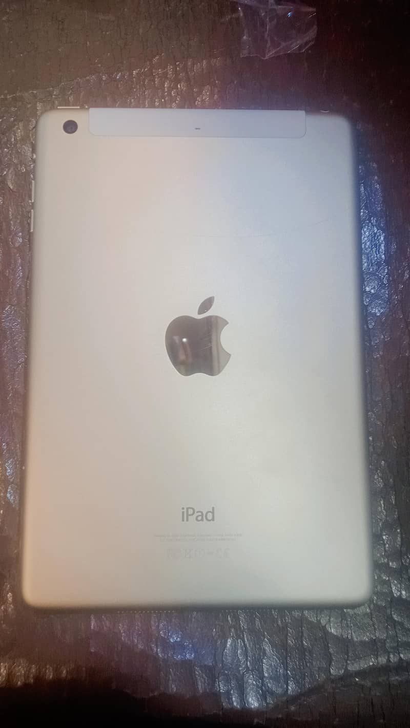 iPad mini 3 1