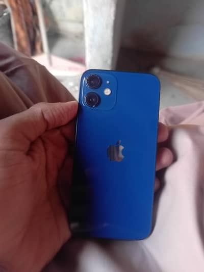 I phone 12 mini