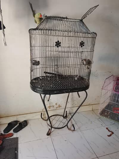 Cage for Raw or grey parrot