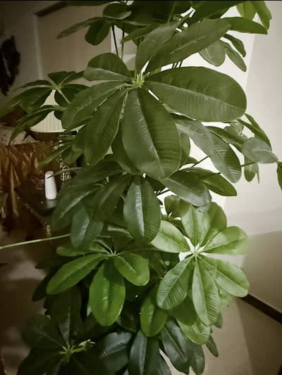  Elegant Artificial Indoor Planter for Sale 