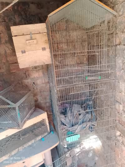 only cage for sale box sale ka nhi h