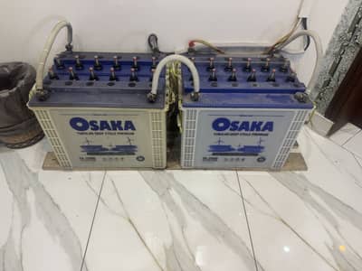 Tall Tubular 4x Batteries