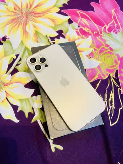 12 pro max pta approved