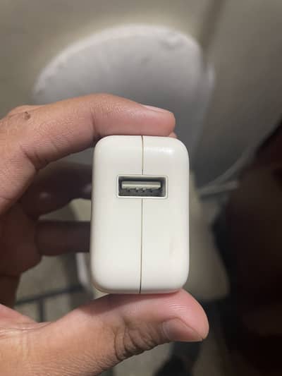 iPhone original charger