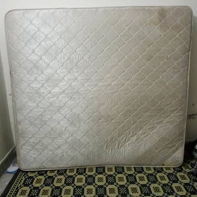 Diamond Victoria Spring