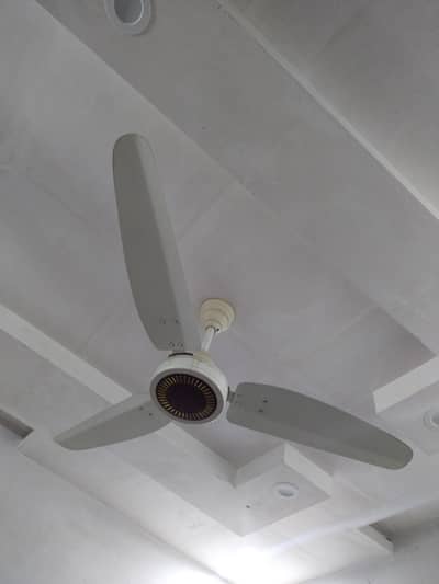Royal Fan 56" non repaired