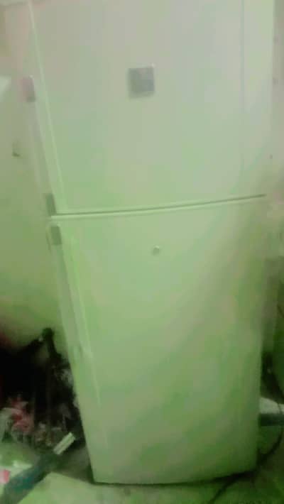 shastra clean and new