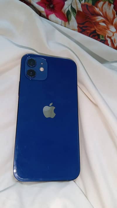 I phone 12 Blue Colour