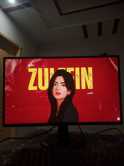 HP N246v 24-inch LED Monitor