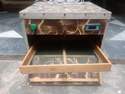 watsapp number 03066621409