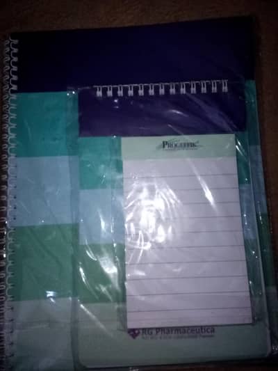 3 Big New Diaries With spring