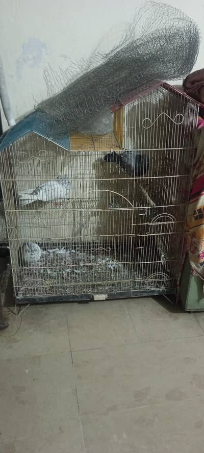 Cage beautifull Birds