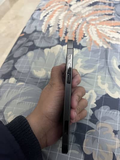 12 pro 256gb factory