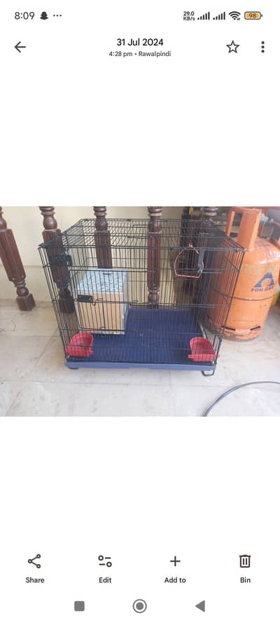 Parrot Cage fori Dana ha