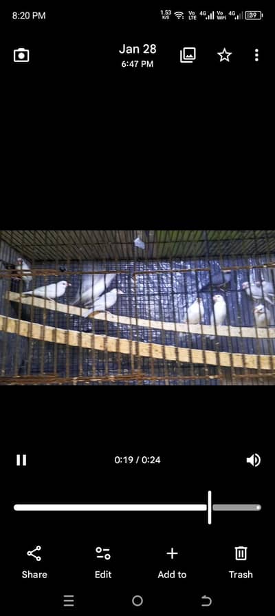 Java white Gray silver All okay pice