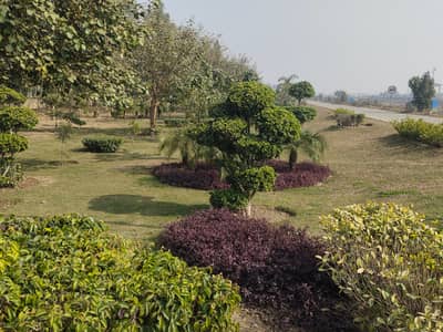 10 Marla Plot For Sale in Lda City