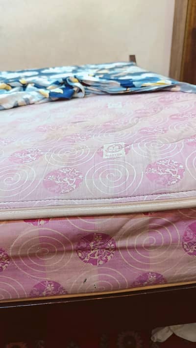 Molty Spring Mattress