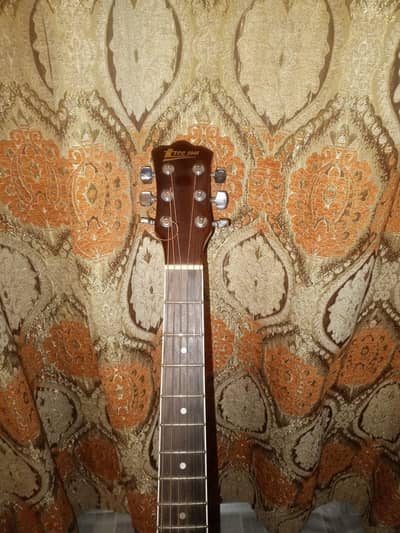 tree root acoustic guitar jumbo
