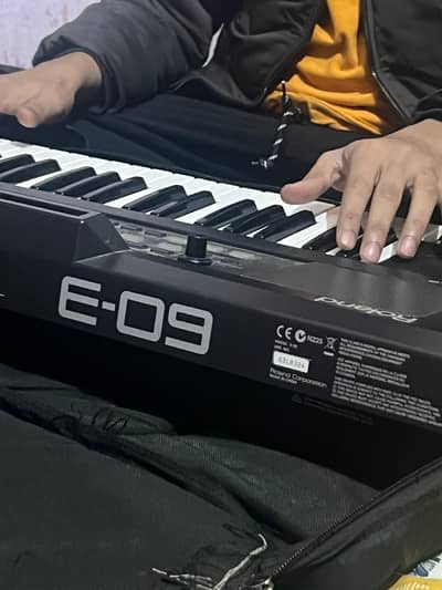 Roland E 09