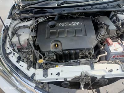 Altis 2022, Super white B2B