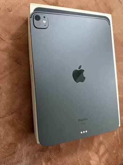 Ipad pro m4 chip 256gb