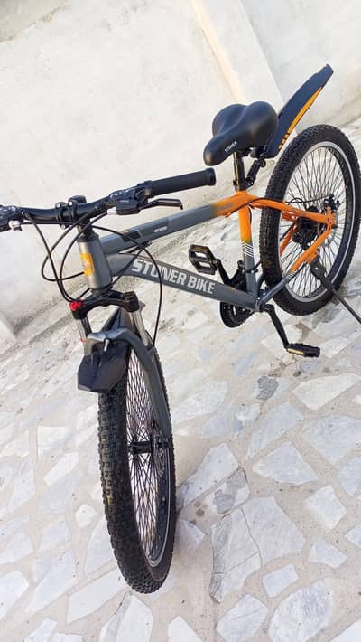 Mountain Bike build for heavy terrain