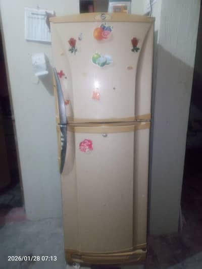 PEL Fridge 2500 JF