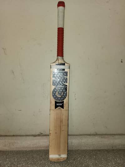 Kashmir Willow Bat
