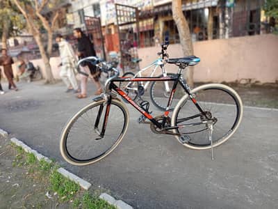 only serious customers can contact on WhatsApp