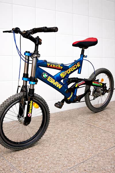 Morgan buffalo importid bicycle size 24