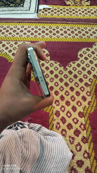 Whatsapp number 03166568035