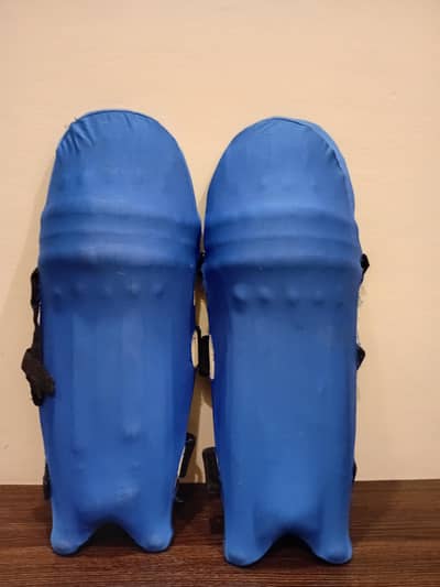 HARDBALL CRICKET BATTING PADS