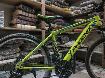 Original Phoenix Bike – Like New & Lightweight Frame! ‍