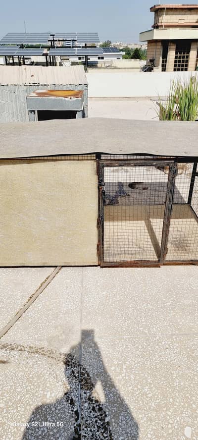 DOG CAGE