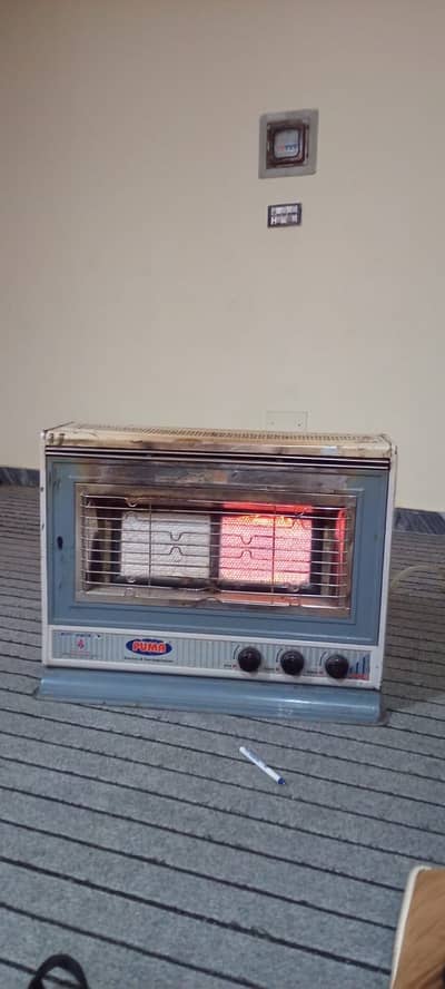 Puma heater