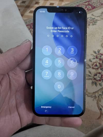 iphone 12 pro factory 256