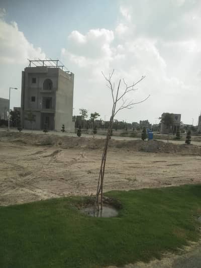 Plot Near To Plot # 305 B