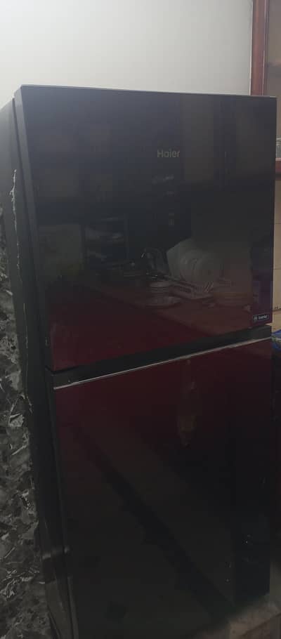 haier 2 door refrigerator