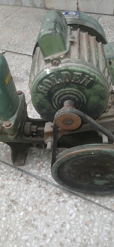 golden pump with motor