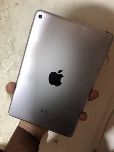 iPad mini4