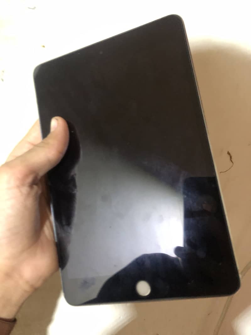 iPad mini4 2
