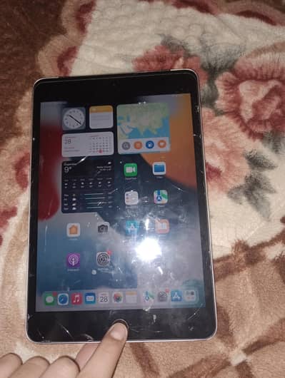 I pad mini 4 iOS 14.0