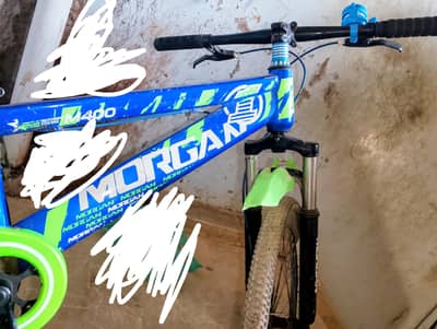 Morgan cycle all ok 26 size